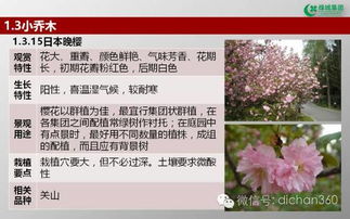 綠城集團園林軟景苗木圖譜 全套