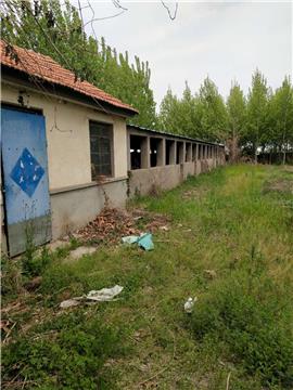 超值商機 1元/平，2800平米多用途場地出租，適合加工廠、養殖場、苗圃倉庫等